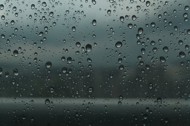 Rainy Day Plans