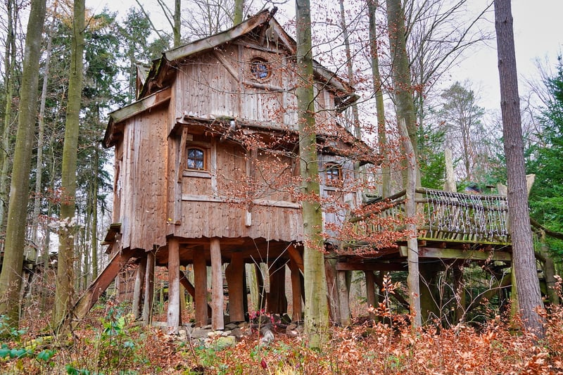 Treehouse Wedding Venue